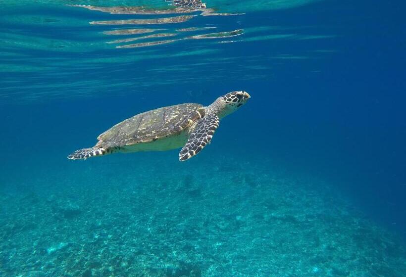 هتل Atoll Residence Dhangethi