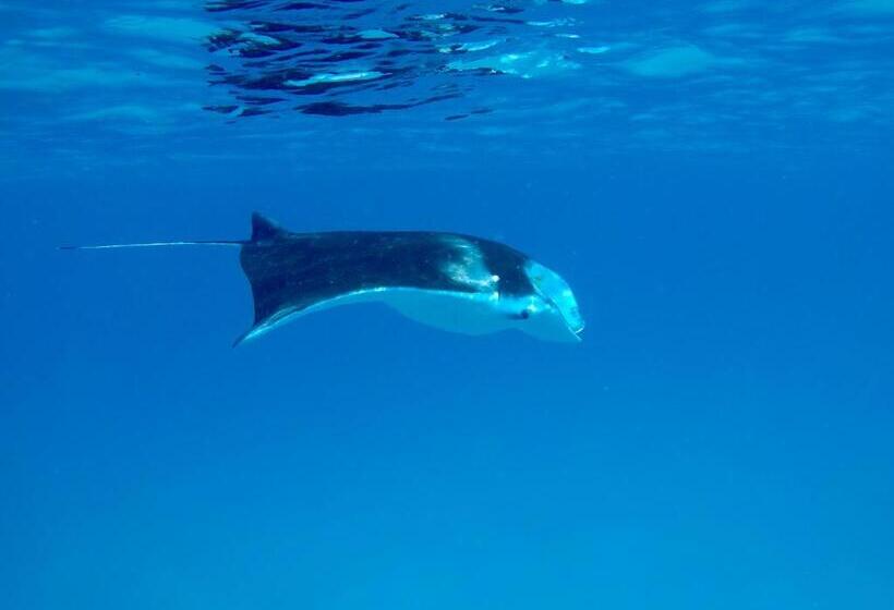 هتل Atoll Residence Dhangethi