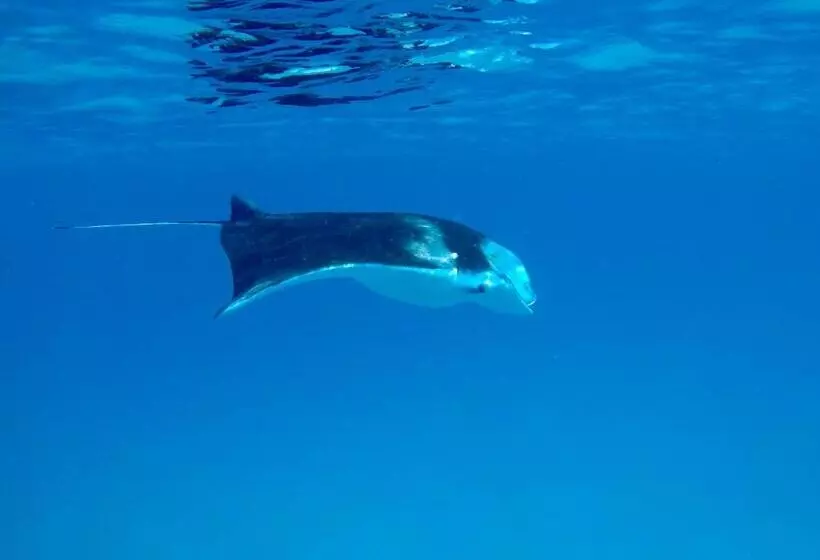 هتل Atoll Residence Dhangethi