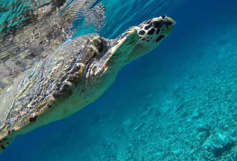 هتل Atoll Residence Dhangethi