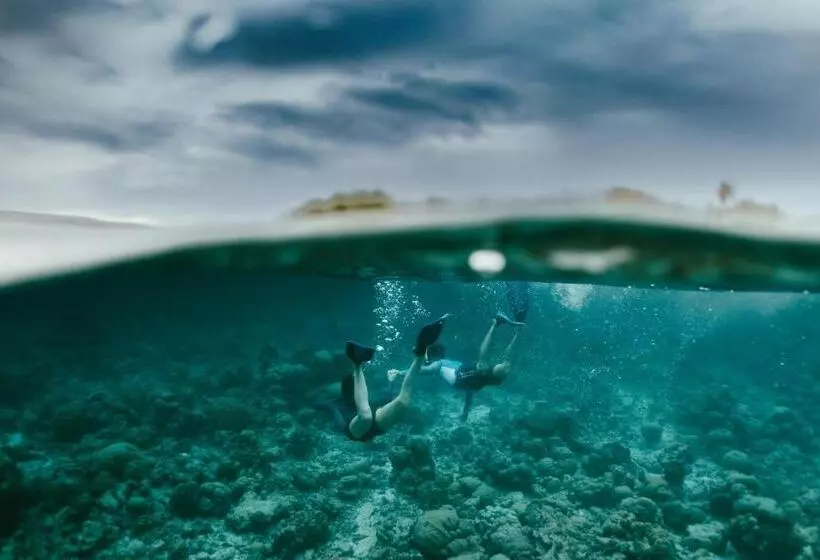 هتل Atoll Residence Dhangethi