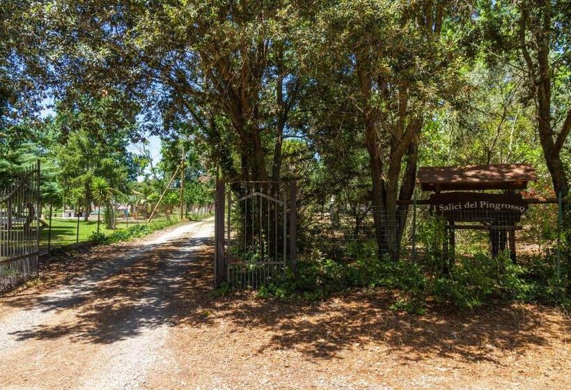 هتل Bilo Gardenia