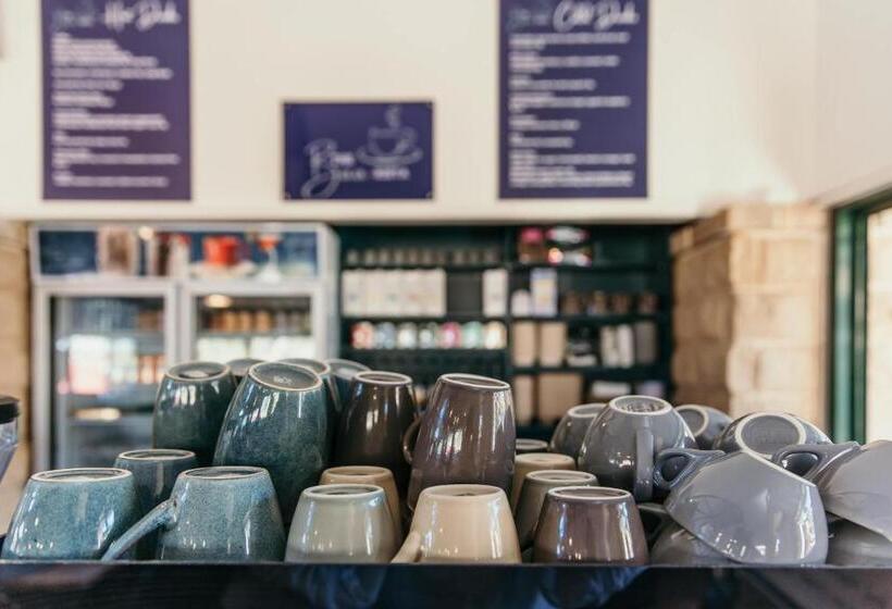 汽车旅馆  Oasis Motor Inn Blackall