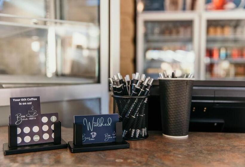 汽车旅馆  Oasis Motor Inn Blackall