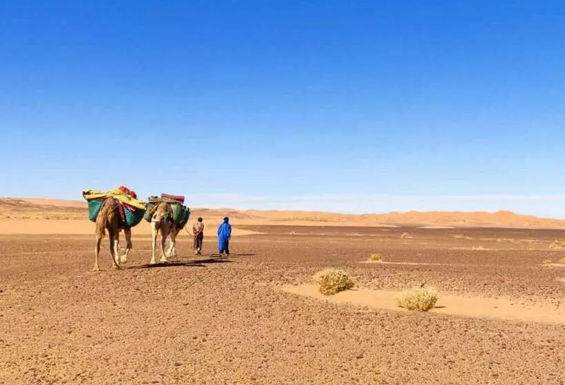 پانسیون Erg Chigaga Safari Camp