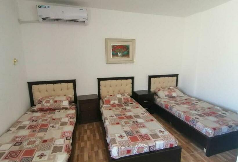 هاستل Petra Planet