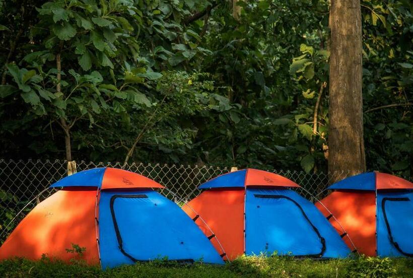 Dandeli Nature Resort