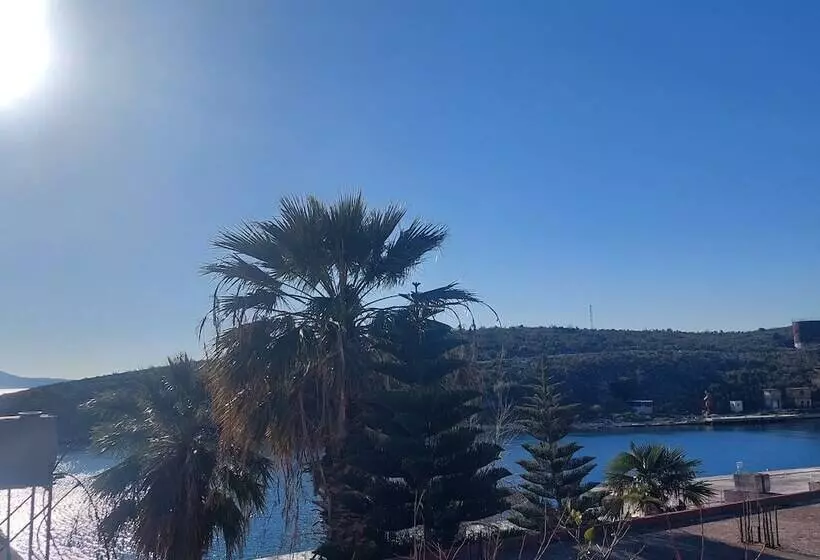 ペンション Benardo Guesthouse