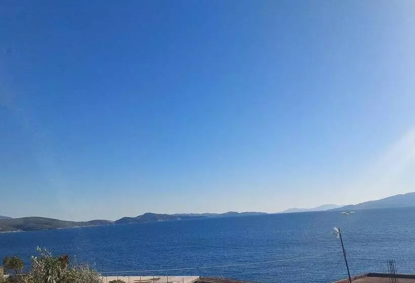 ペンション Benardo Guesthouse