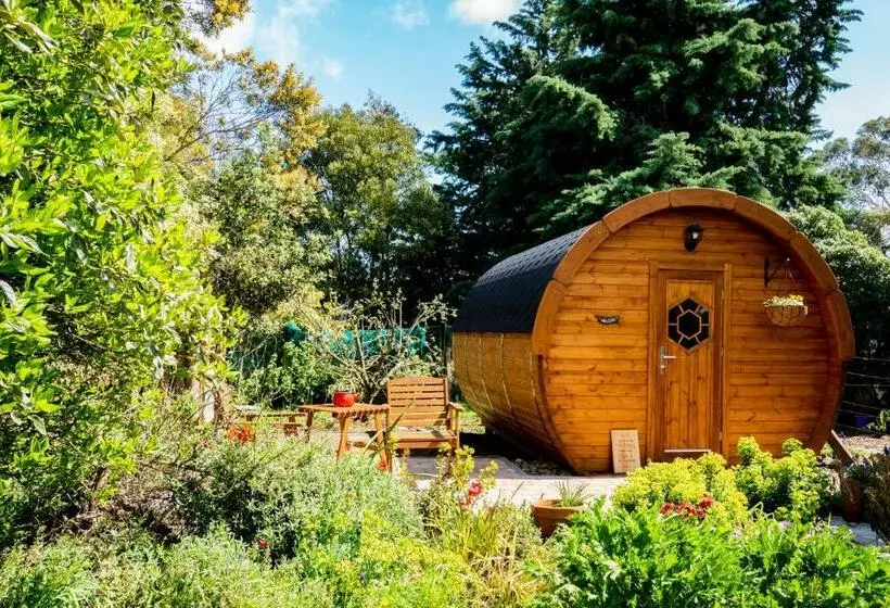 پانسیون Marlborough Wine Barrel Cabins