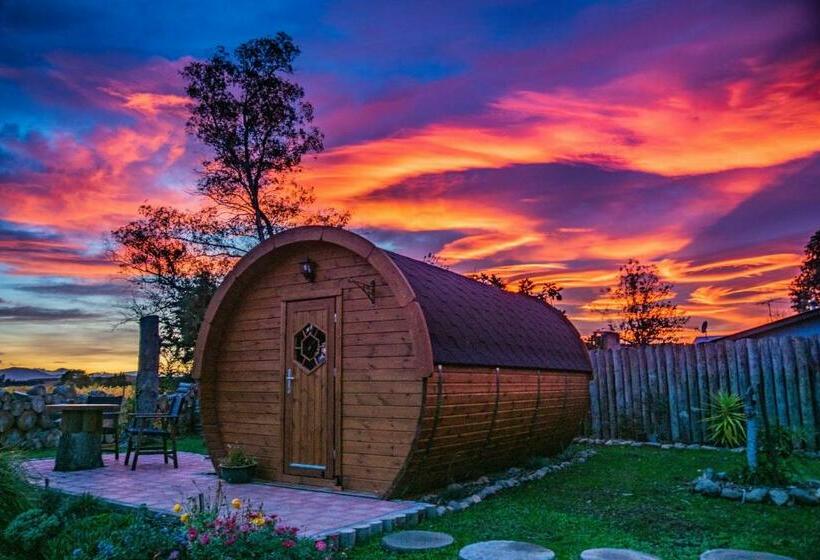 بنسيون Marlborough Wine Barrel Cabins