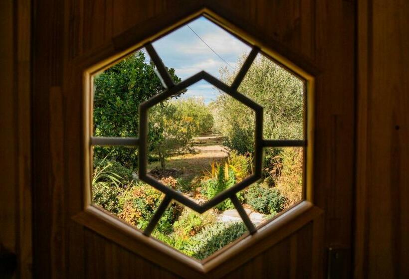 بنسيون Marlborough Wine Barrel Cabins