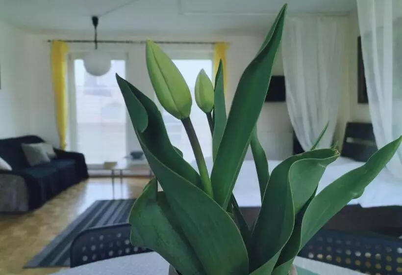 Majatalo Penzion Pod Kostelíčkem