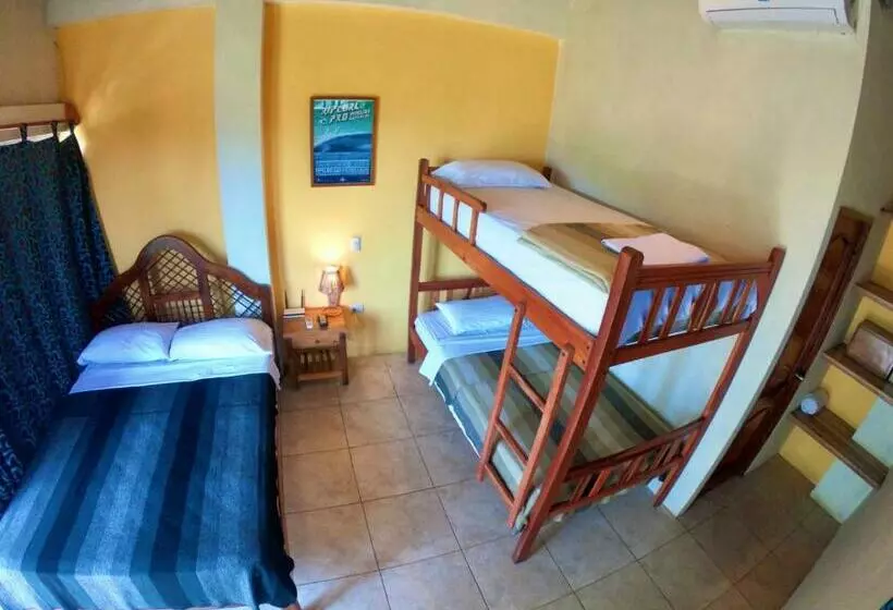 ユースホステル Hostal Moai