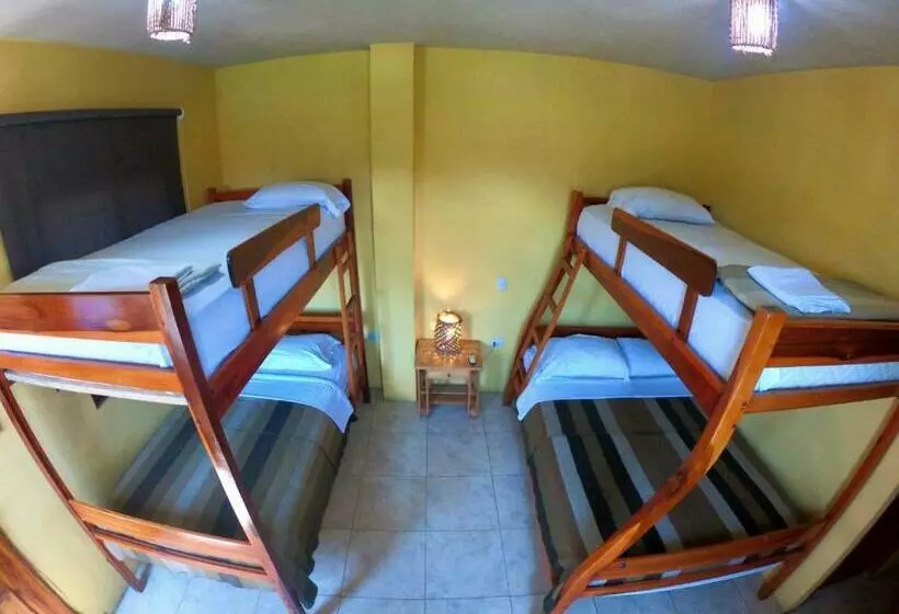 ユースホステル Hostal Moai