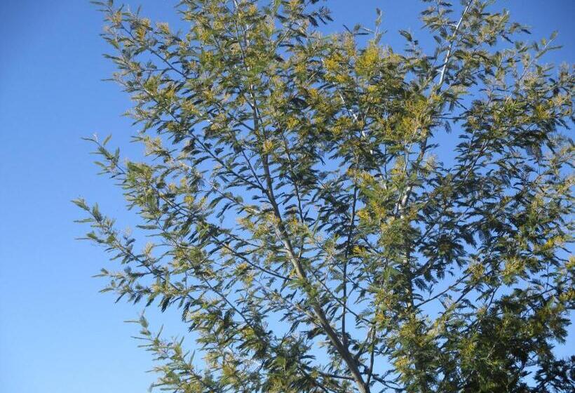 בית מלון כפרי Ospitalità Rurale La Svizzera