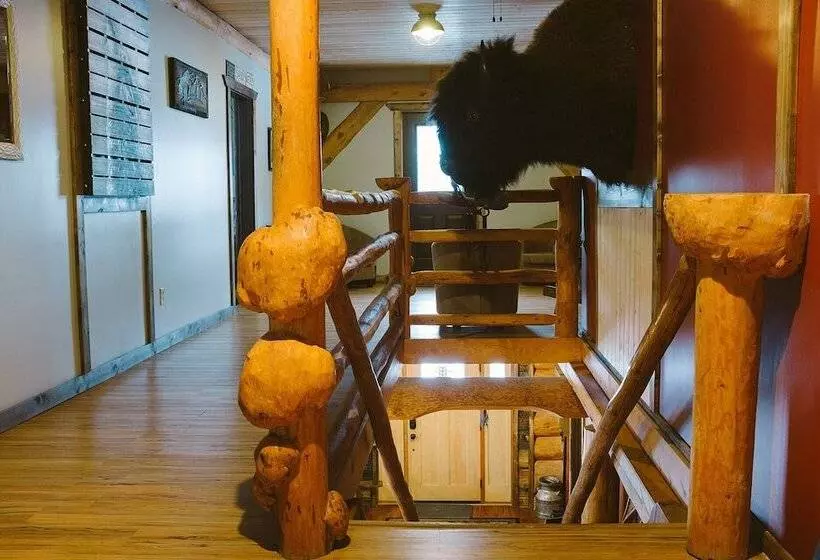 Motelli Arctic Divide Lodge