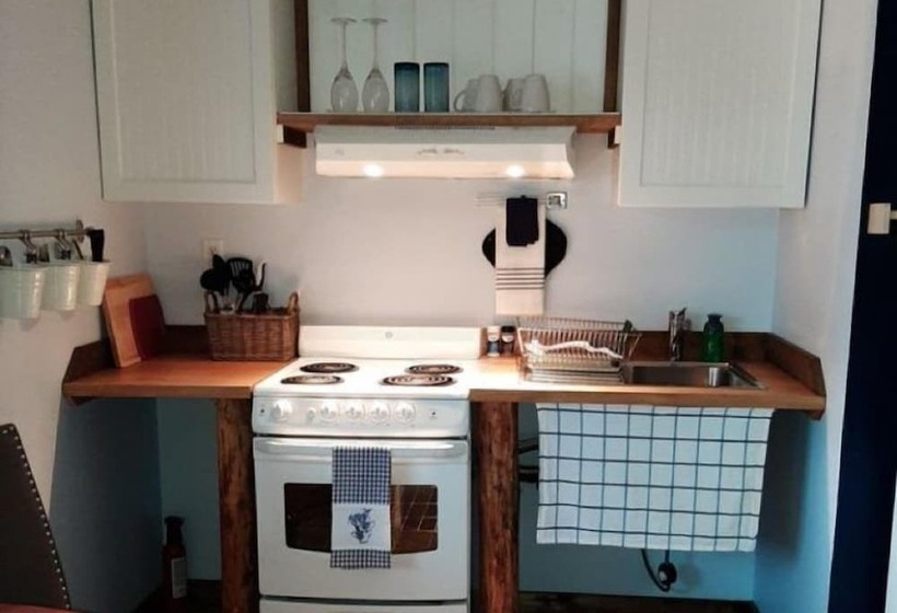 モーテル Arctic Divide Lodge