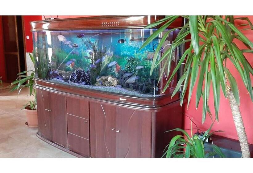 Family Hotel Favourite