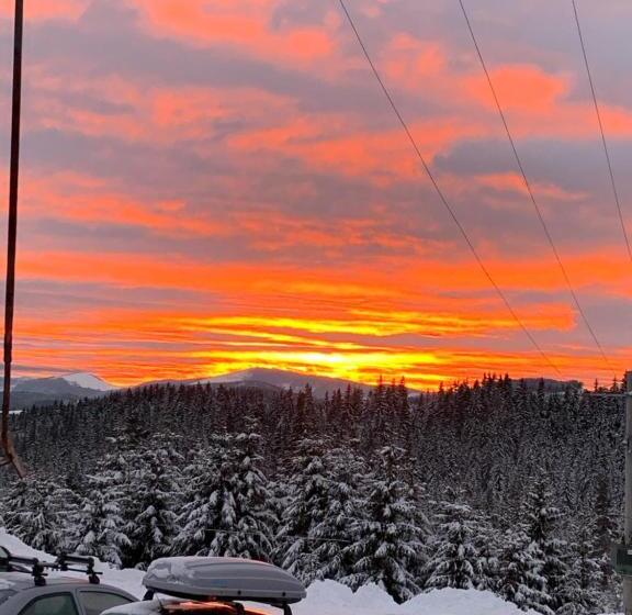 پانسیون Vila Paltinis