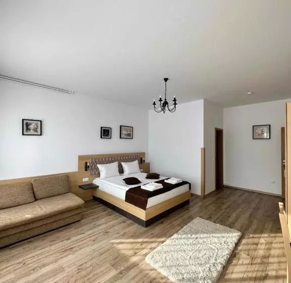 Majatalo Vila Paltinis