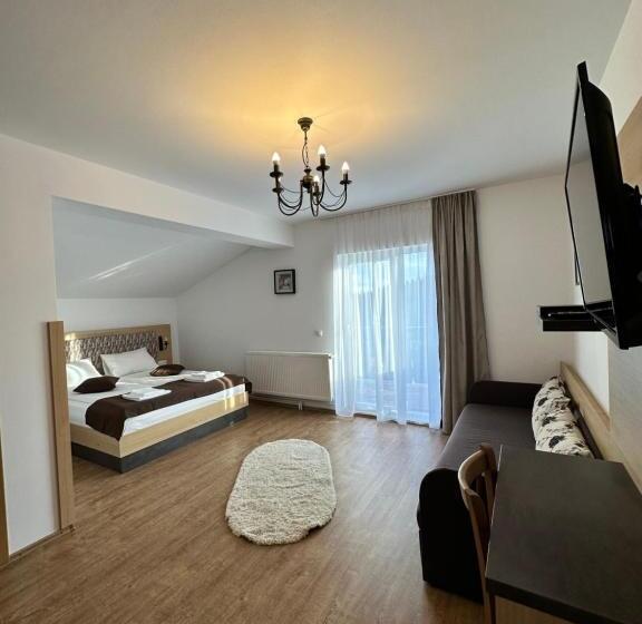 پانسیون Vila Paltinis