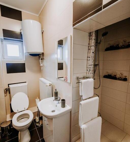 پانسیون Vila Paltinis