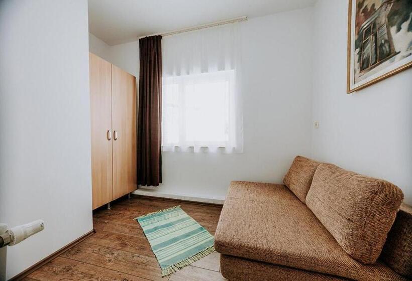 پانسیون Vila Paltinis