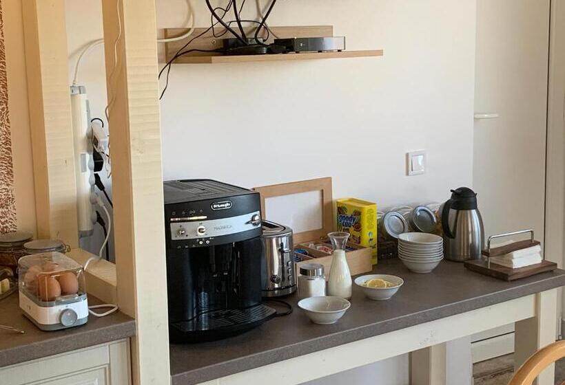 پانسیون Vila Paltinis