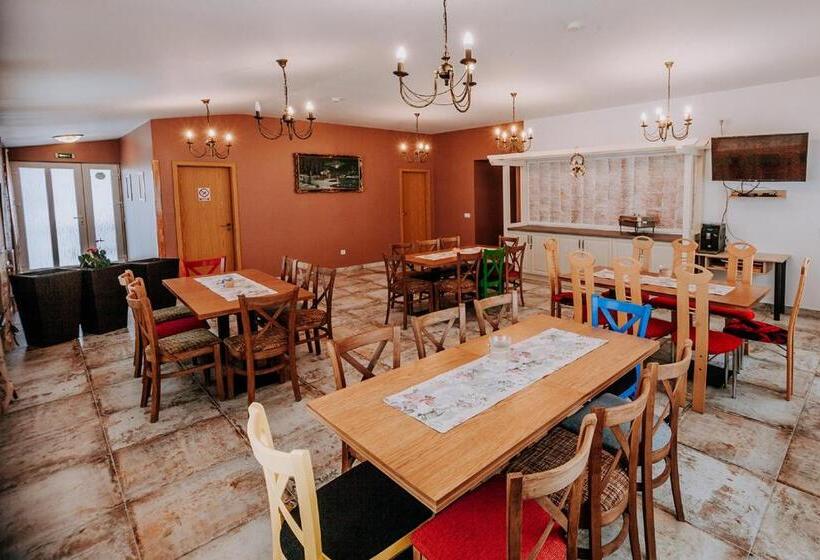 پانسیون Vila Paltinis