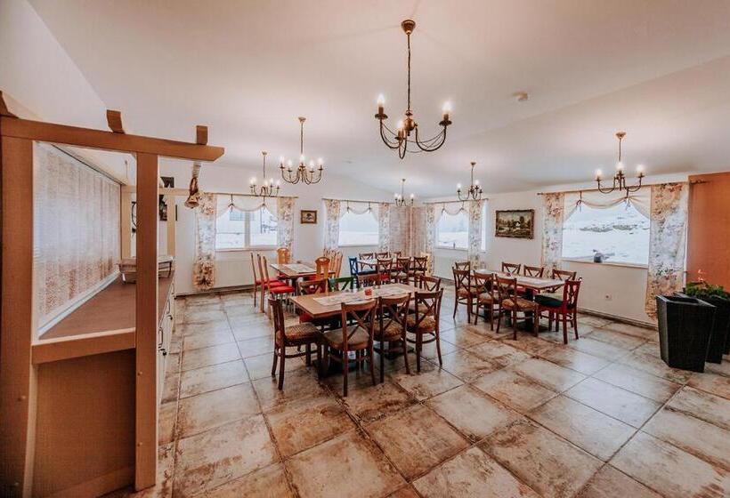 پانسیون Vila Paltinis