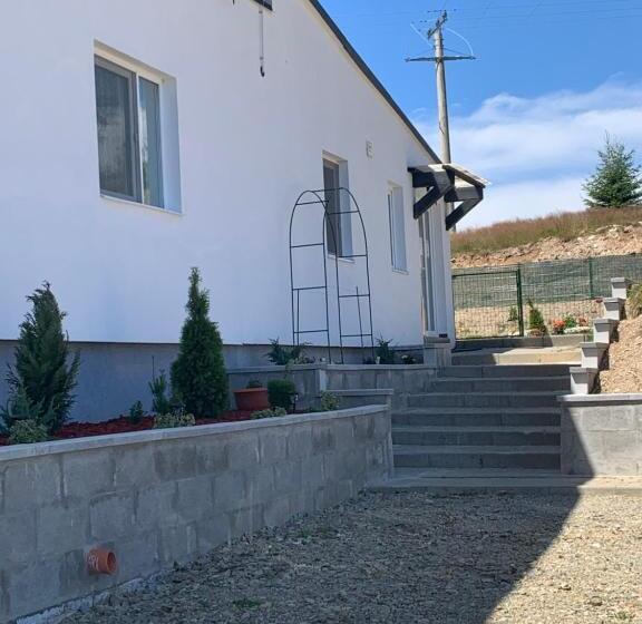 پانسیون Vila Paltinis