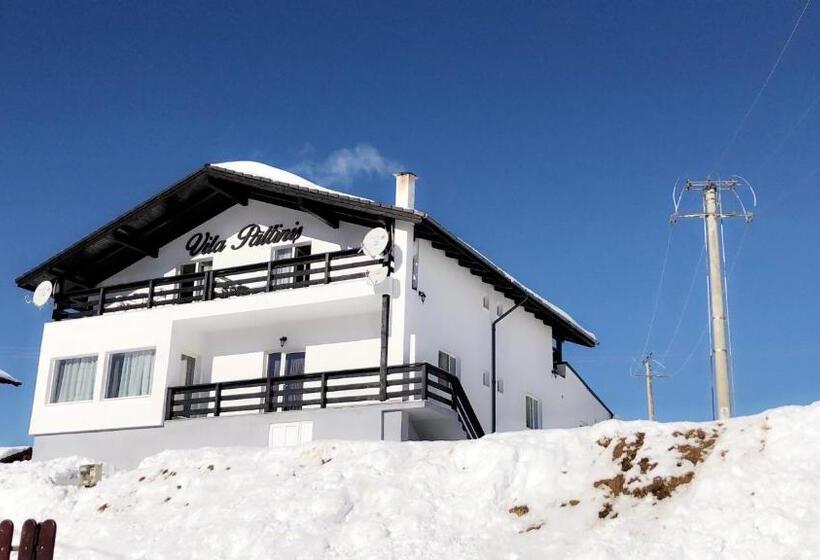 پانسیون Vila Paltinis