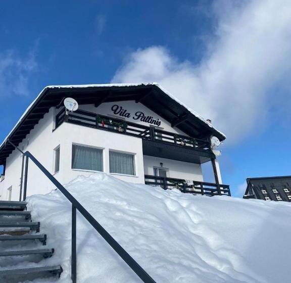 پانسیون Vila Paltinis