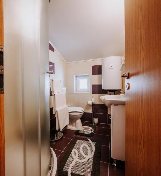 پانسیون Vila Paltinis