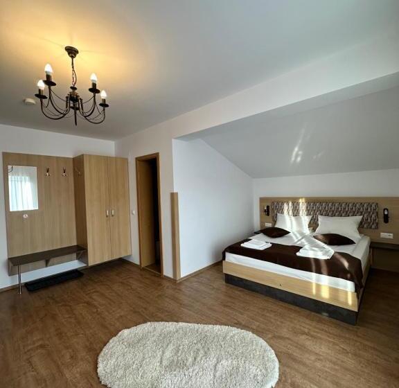 پانسیون Vila Paltinis