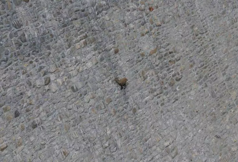 B&b Dove Comincia La Bella Italia