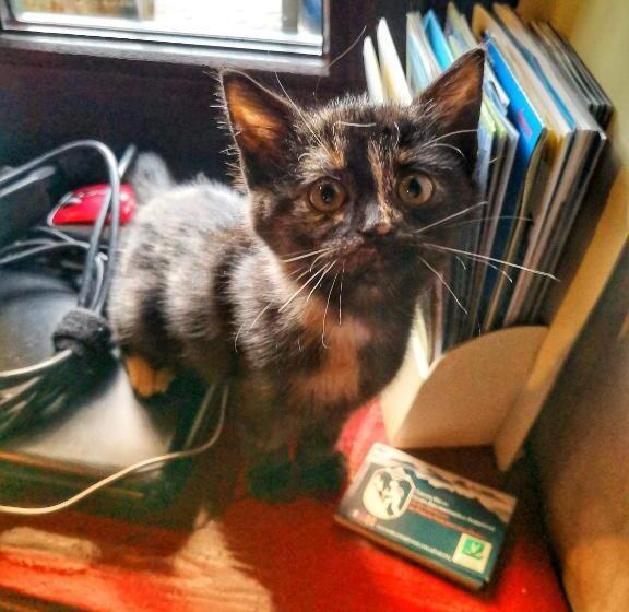 B&b Dove Comincia La Bella Italia