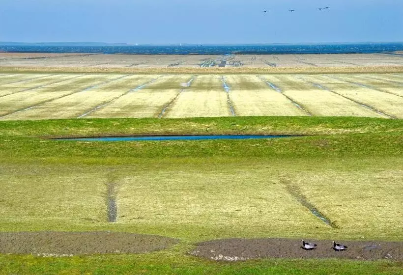 Aamiaismajoitus (B&B) Countryside Eco Natuurhuisjes