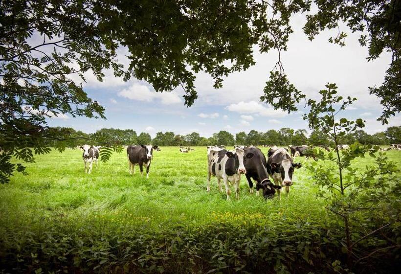 צימר Countryside Eco Natuurhuisjes