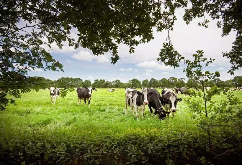 Aamiaismajoitus (B&B) Countryside Eco Natuurhuisjes