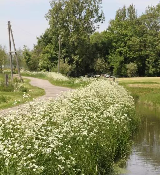 Aamiaismajoitus (B&B) Countryside Eco Natuurhuisjes