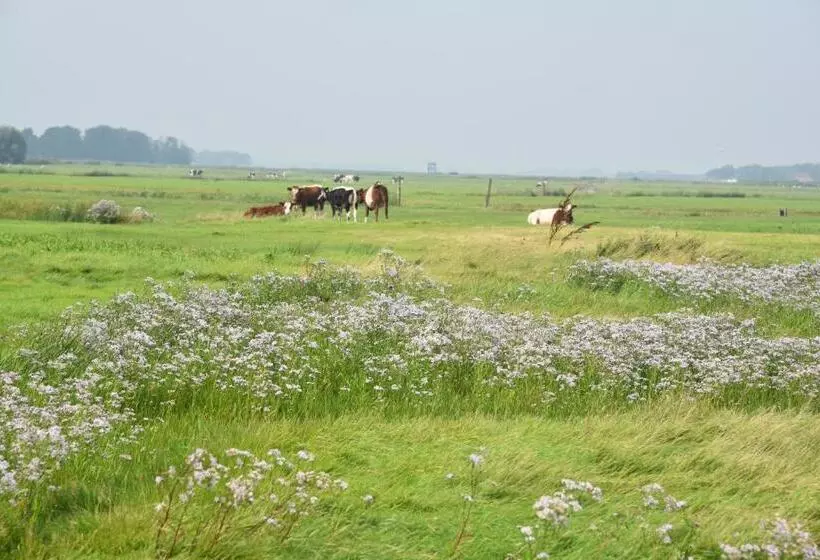 Aamiaismajoitus (B&B) Countryside Eco Natuurhuisjes