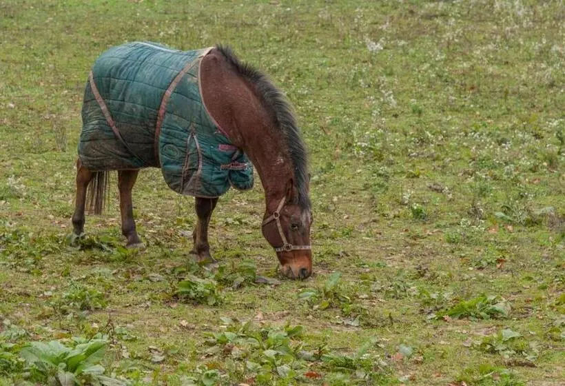 ベッドアンドブレックファースト La Baia Dei Lupi