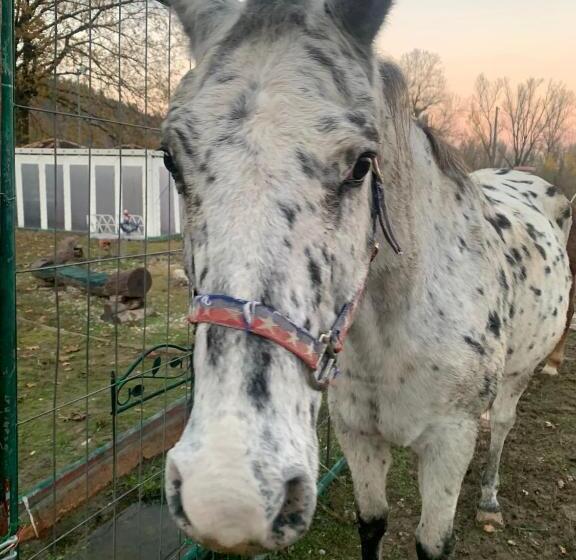 ベッドアンドブレックファースト La Baia Dei Lupi