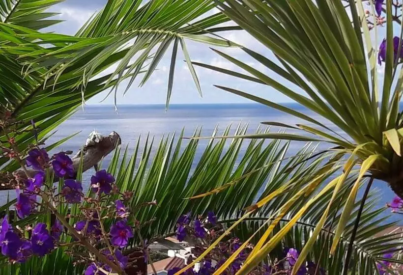 ベッドアンドブレックファースト Miradouro Da Papalva Guest House   Pico   Azores