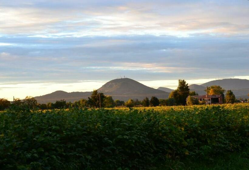 ベッドアンドブレックファースト Regina Sconta