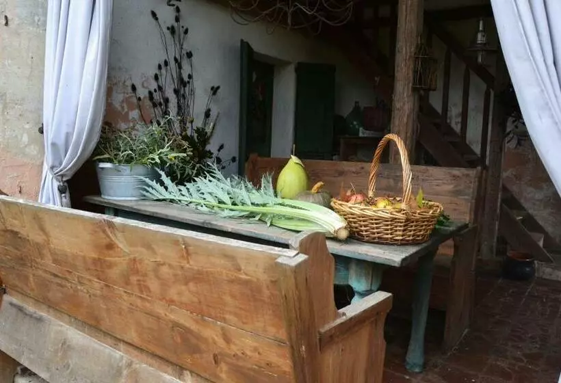 ベッドアンドブレックファースト Regina Sconta