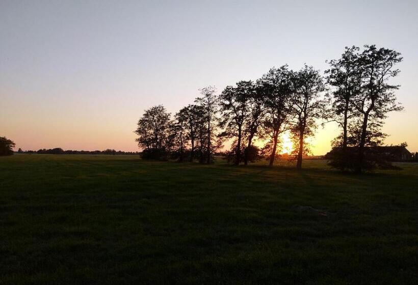 住宿加早餐 Weids Zicht Bb Weidszicht