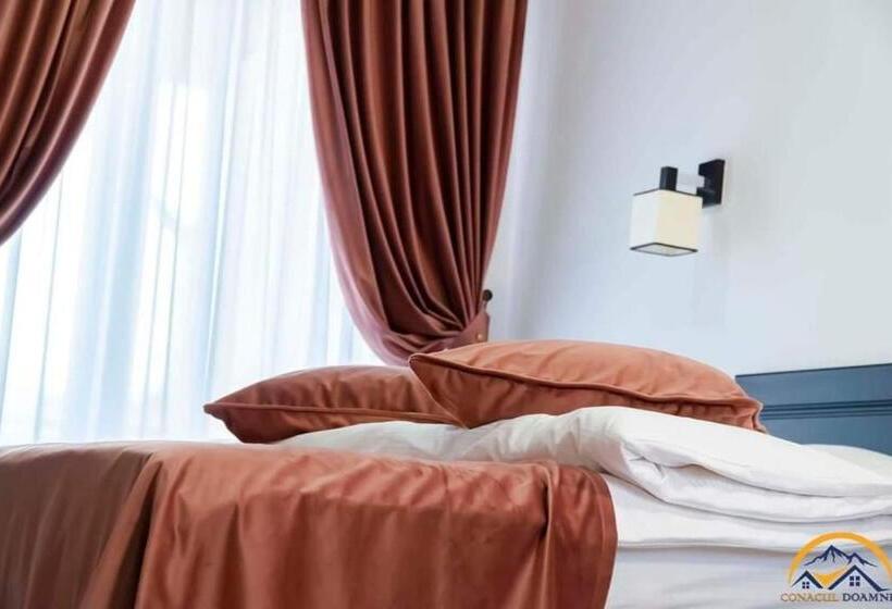 فندق Conacul Doamnei